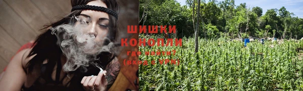 PSILOCYBIN Белоозёрский